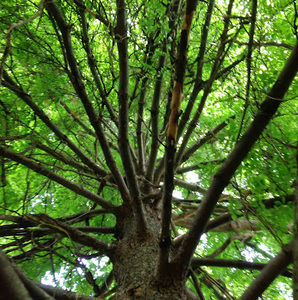 Meet your Posher, Steve p